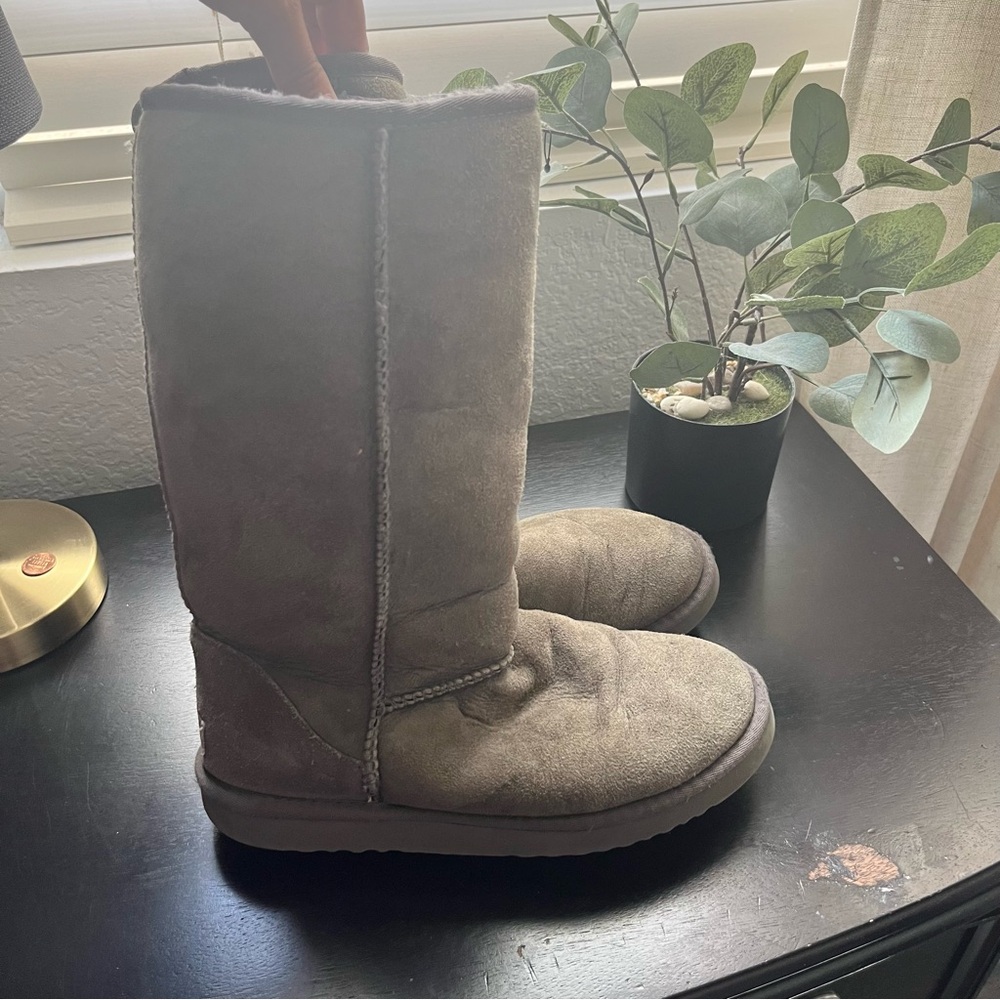 Gray High Top Uggs